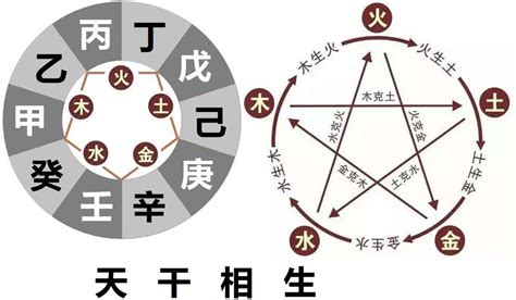 辛金 乙木|辛金与其他十天干的关系